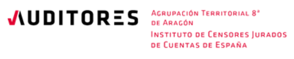 Logo Auditores