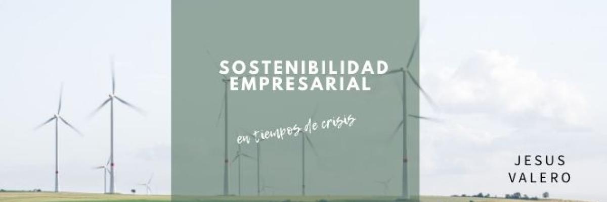 Sostenibilidad empresarial en tiempos de crisis